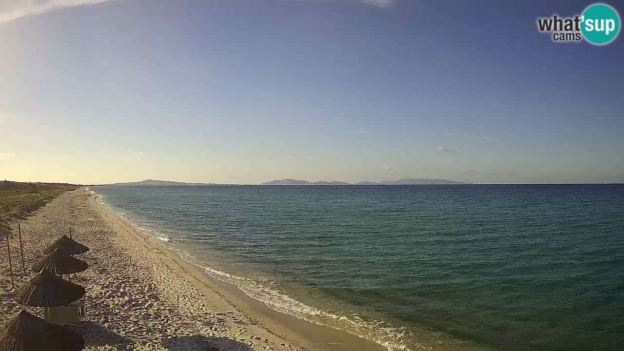 Spiaggia Le Saline webcam Stintino – Sardegna