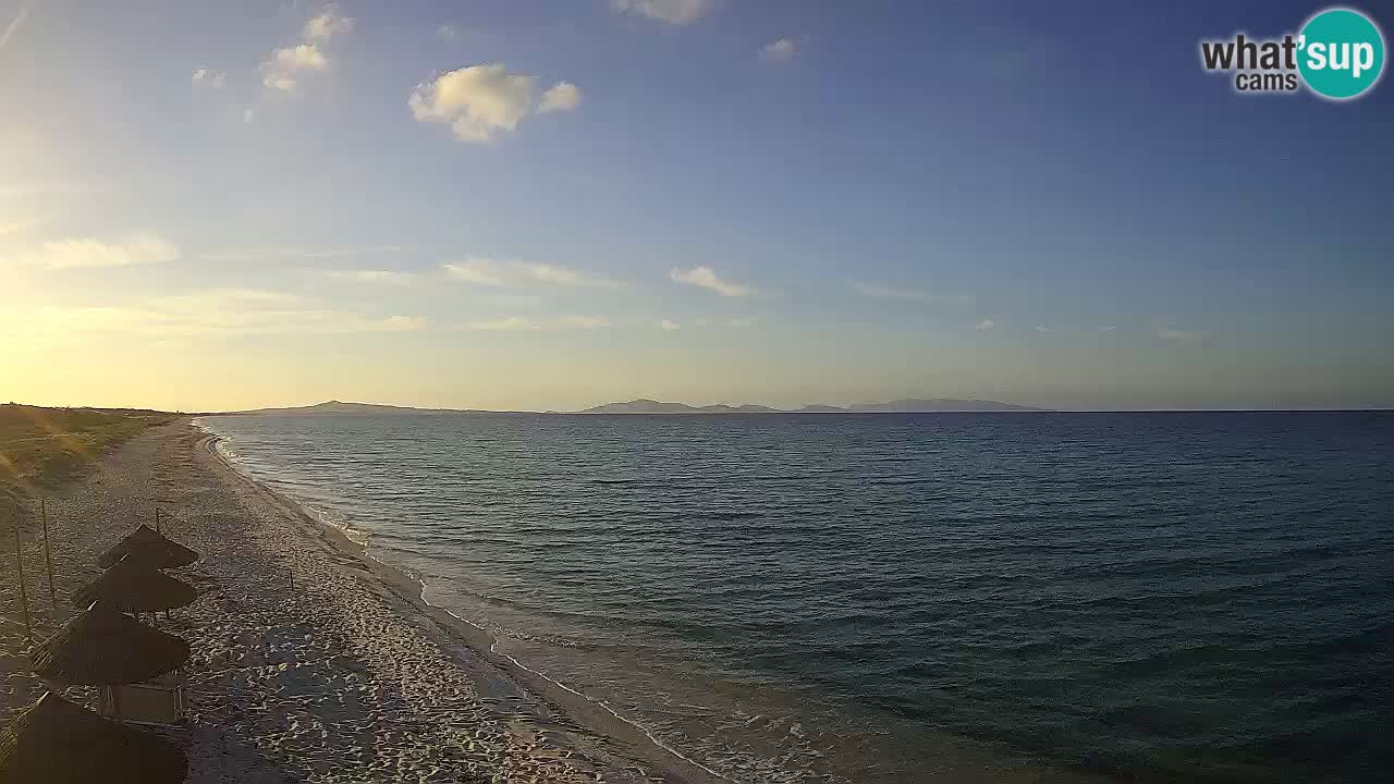 Plaža Le Saline spletna kamera Stintino – Sardinija