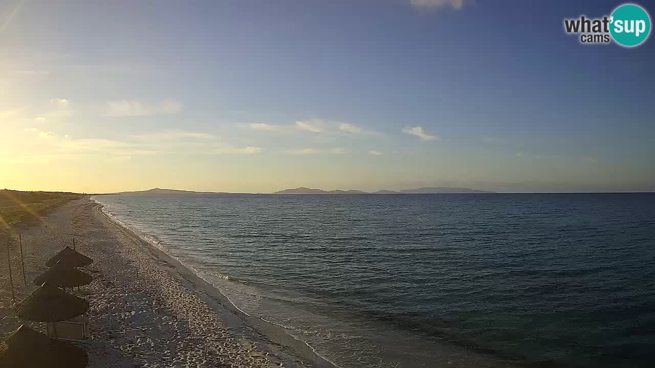 Beach Le Saline webcam live Stintino – Sardinia