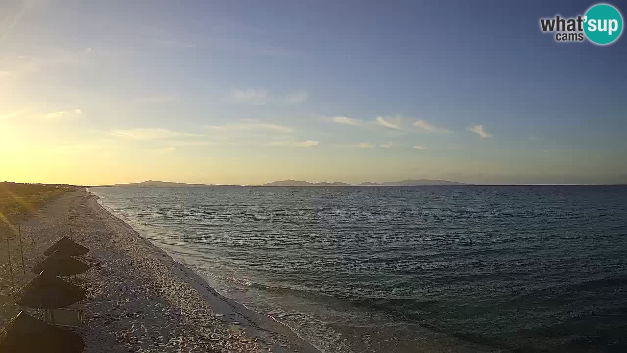 Strand Le Saline webcam Stintino – Sardinien