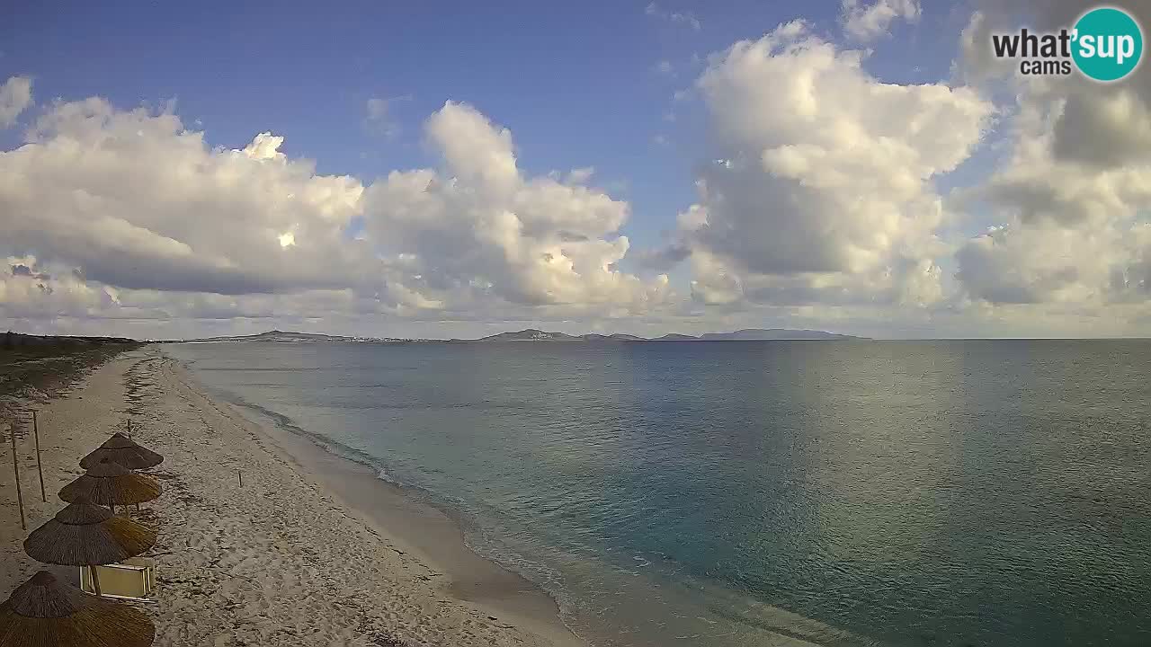 Beach Le Saline webcam live Stintino – Sardinia