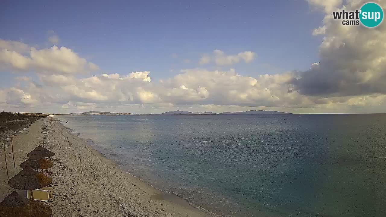 Plaža Le Saline spletna kamera Stintino – Sardinija