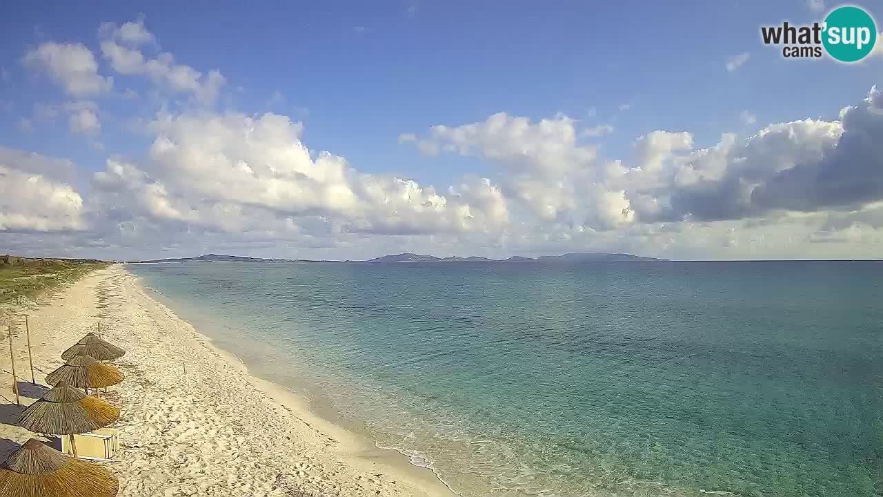 Spiaggia Le Saline webcam Stintino – Sardegna
