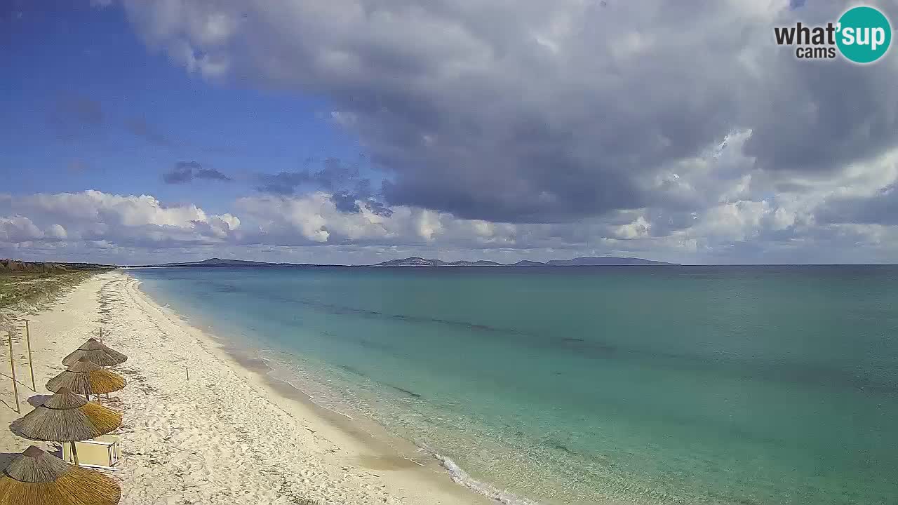 Plaža Le Saline spletna kamera Stintino – Sardinija