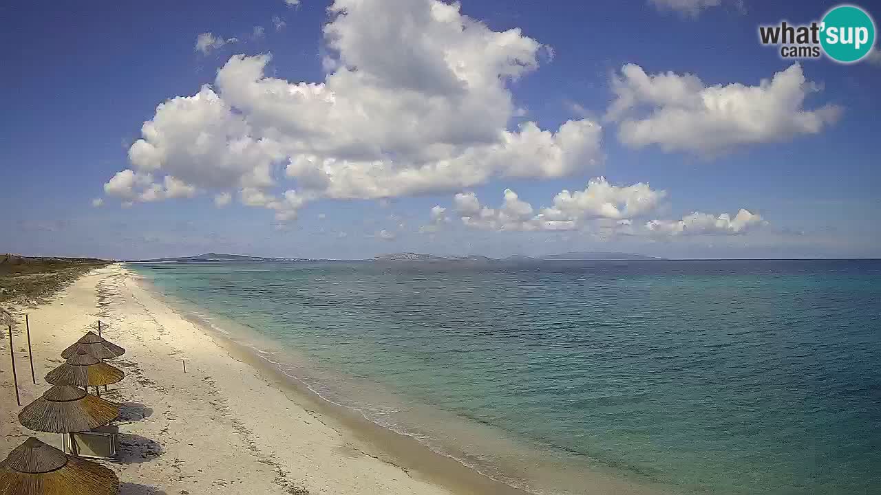 Plaža Le Saline spletna kamera Stintino – Sardinija