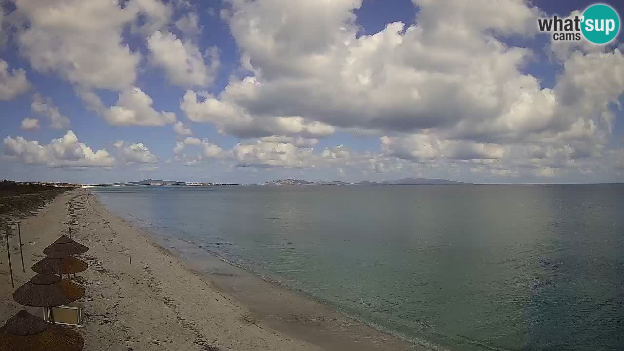 Plaža Le Saline spletna kamera Stintino – Sardinija