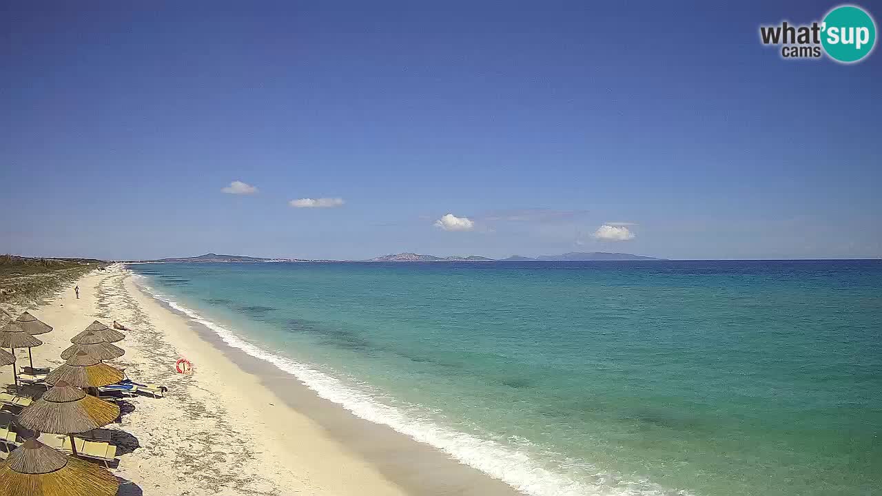 Beach Le Saline webcam live Stintino – Sardinia