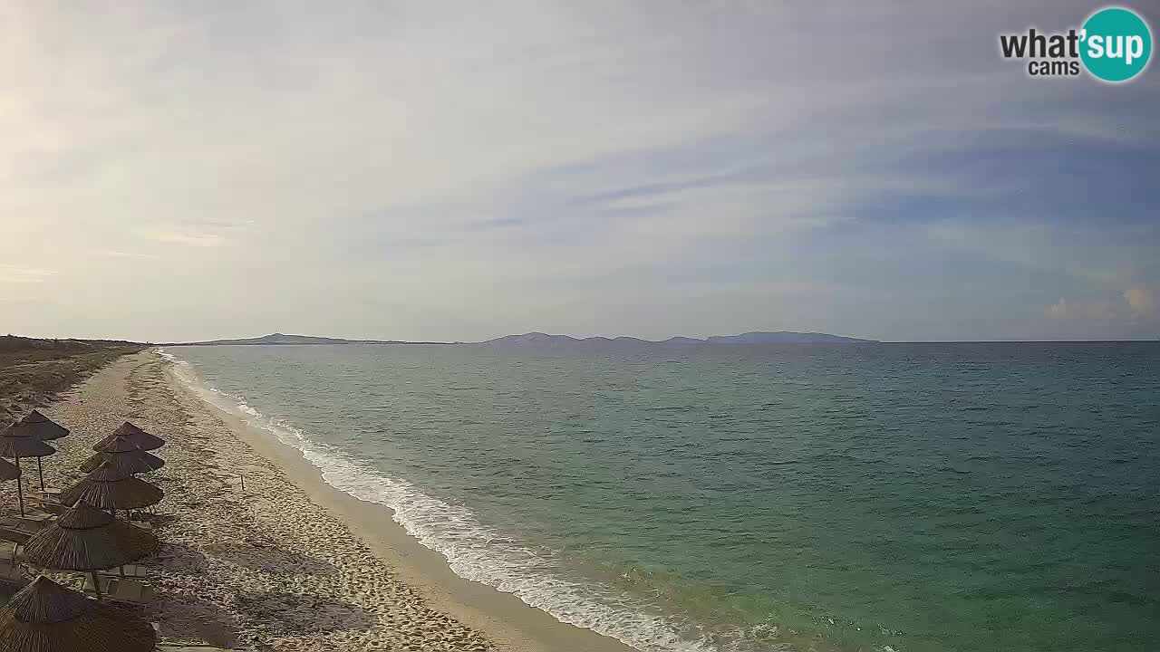 Playa Le Saline camera en vivo Stintino – Cerdeña