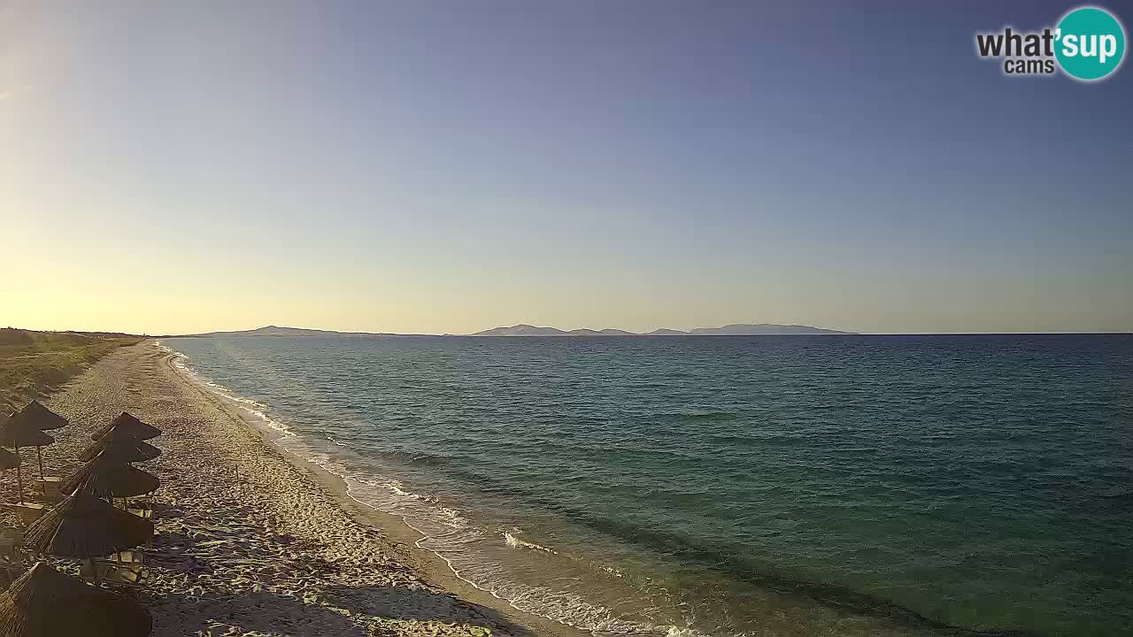 Plaža Le Saline spletna kamera Stintino – Sardinija