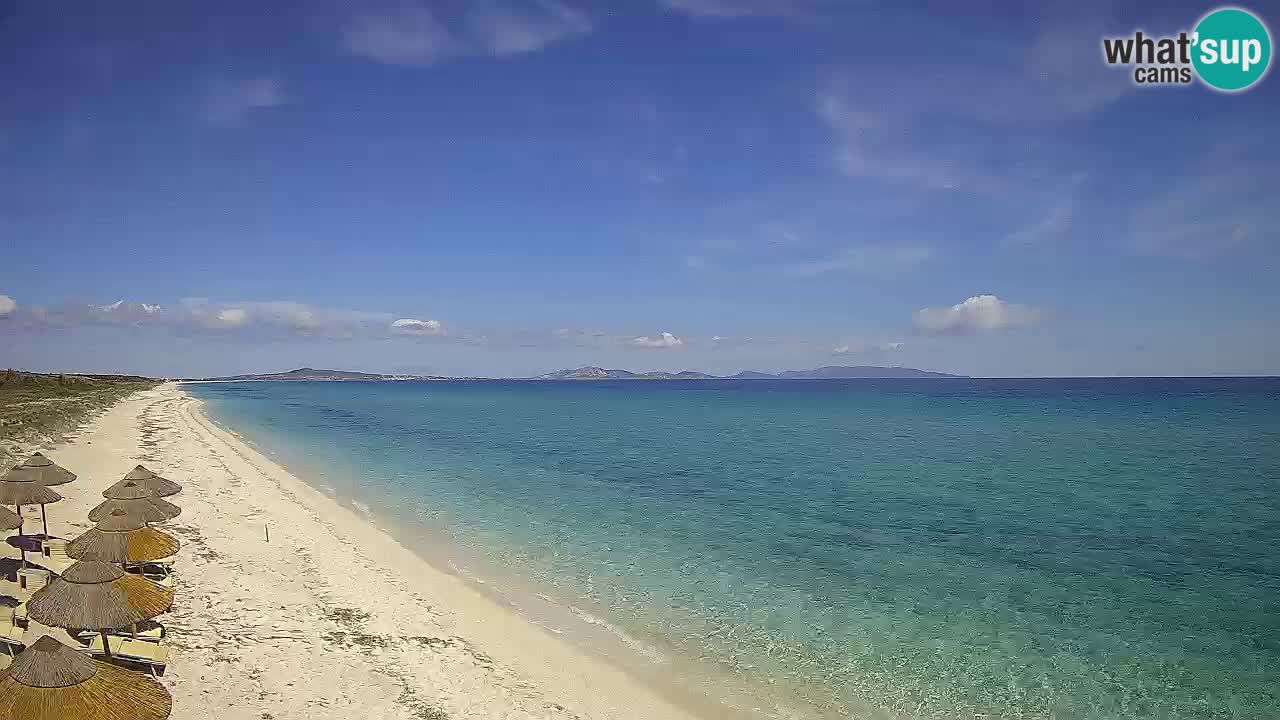 Spiaggia Le Saline webcam Stintino – Sardegna