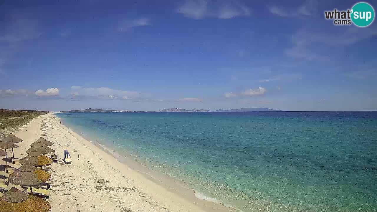 Plaža Le Saline spletna kamera Stintino – Sardinija