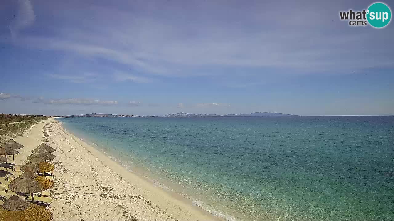 Beach Le Saline webcam live Stintino – Sardinia