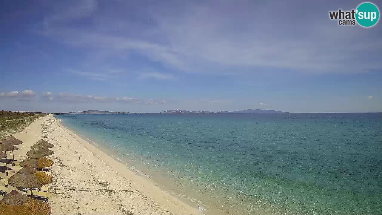Plage Le Saline Live cam Stintino – Sardaigne