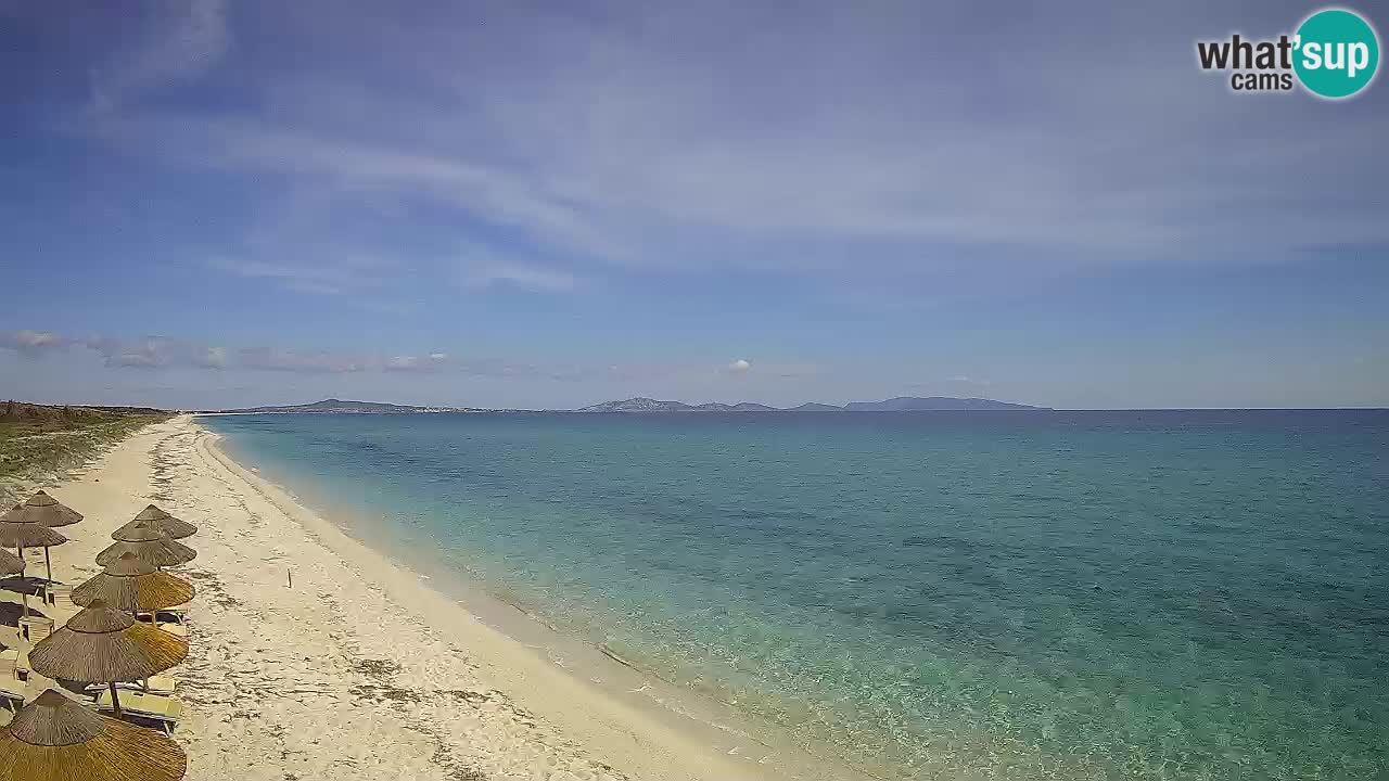 Plaža Le Saline web kamera Stintino – Sardinija