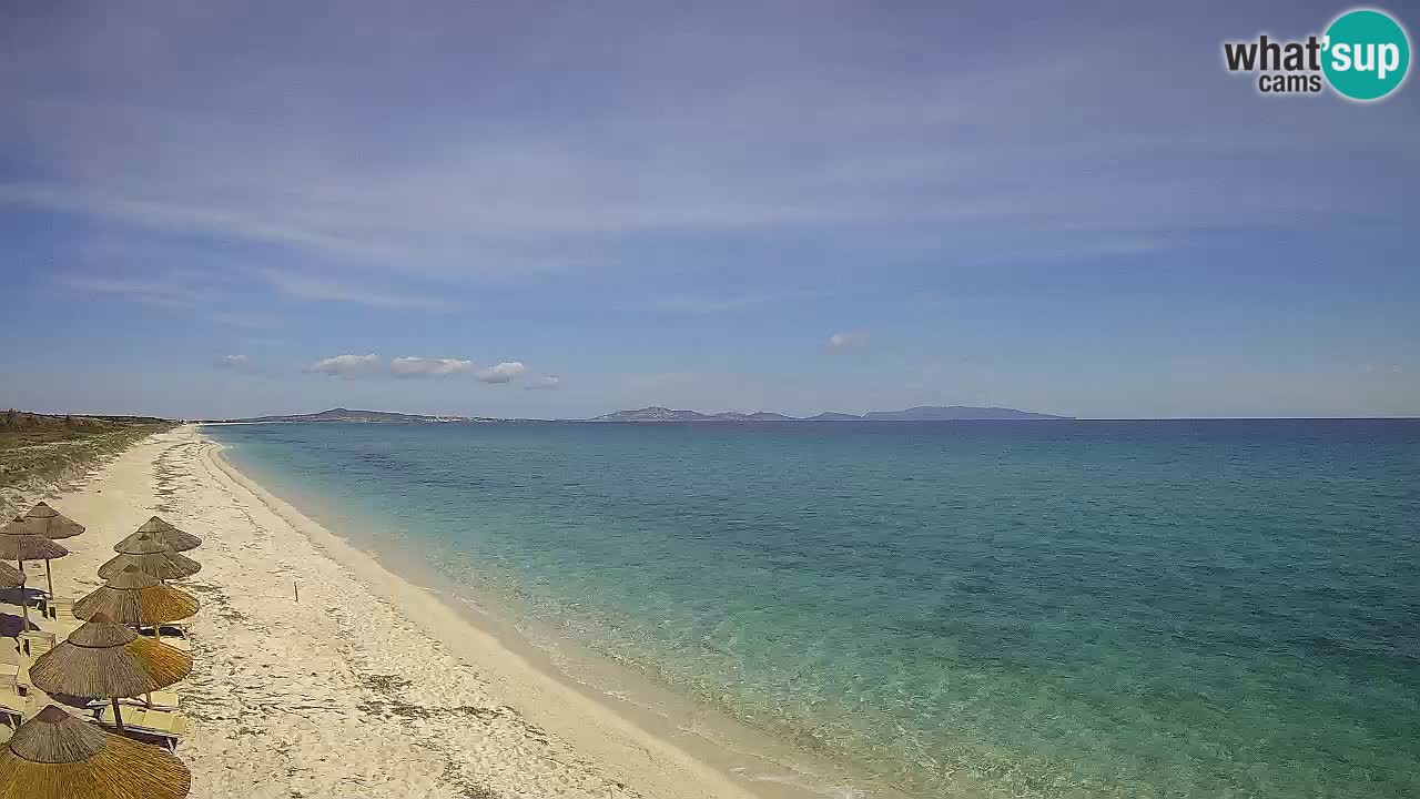 Playa Le Saline camera en vivo Stintino – Cerdeña