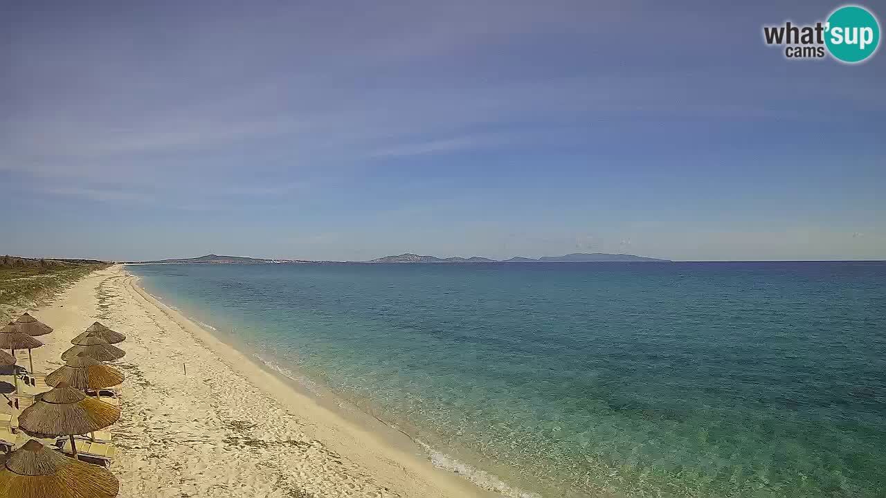 Playa Le Saline camera en vivo Stintino – Cerdeña