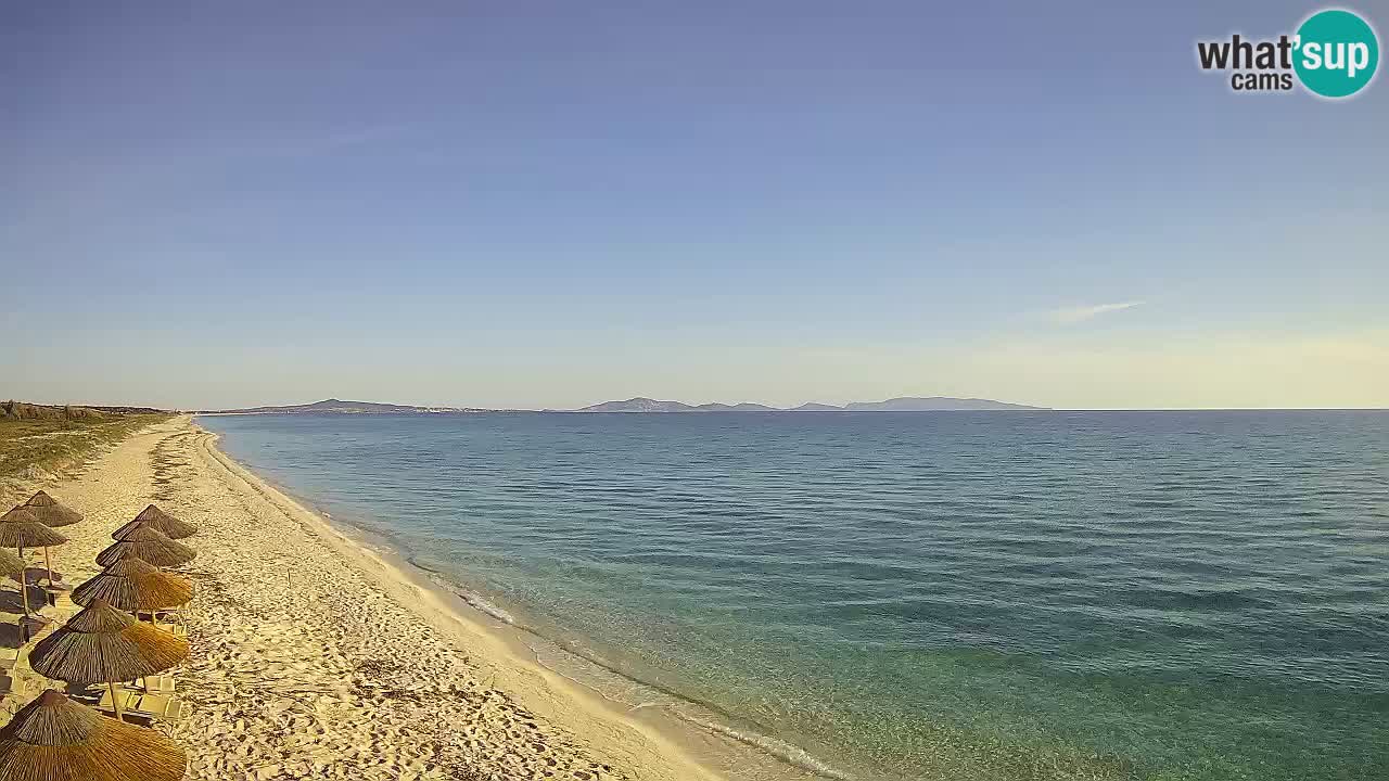 Plage Le Saline Live cam Stintino – Sardaigne