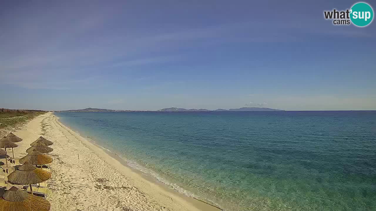 Plaža Le Saline web kamera Stintino – Sardinija