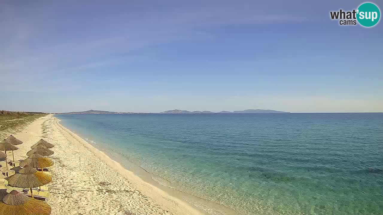 Plaža Le Saline spletna kamera Stintino – Sardinija