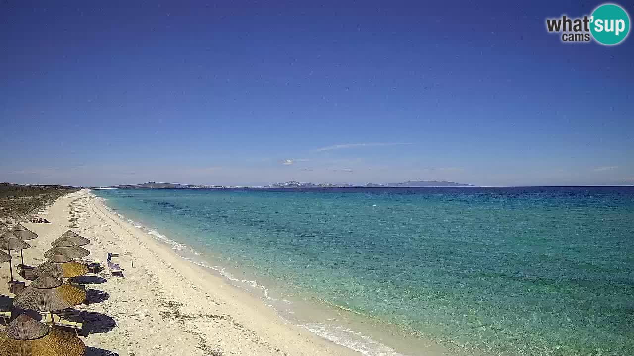 Beach Le Saline webcam live Stintino – Sardinia