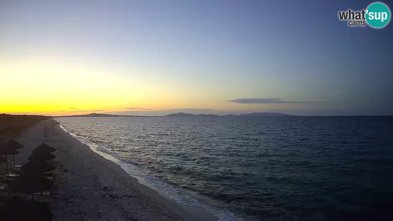 Beach Le Saline webcam live Stintino – Sardinia