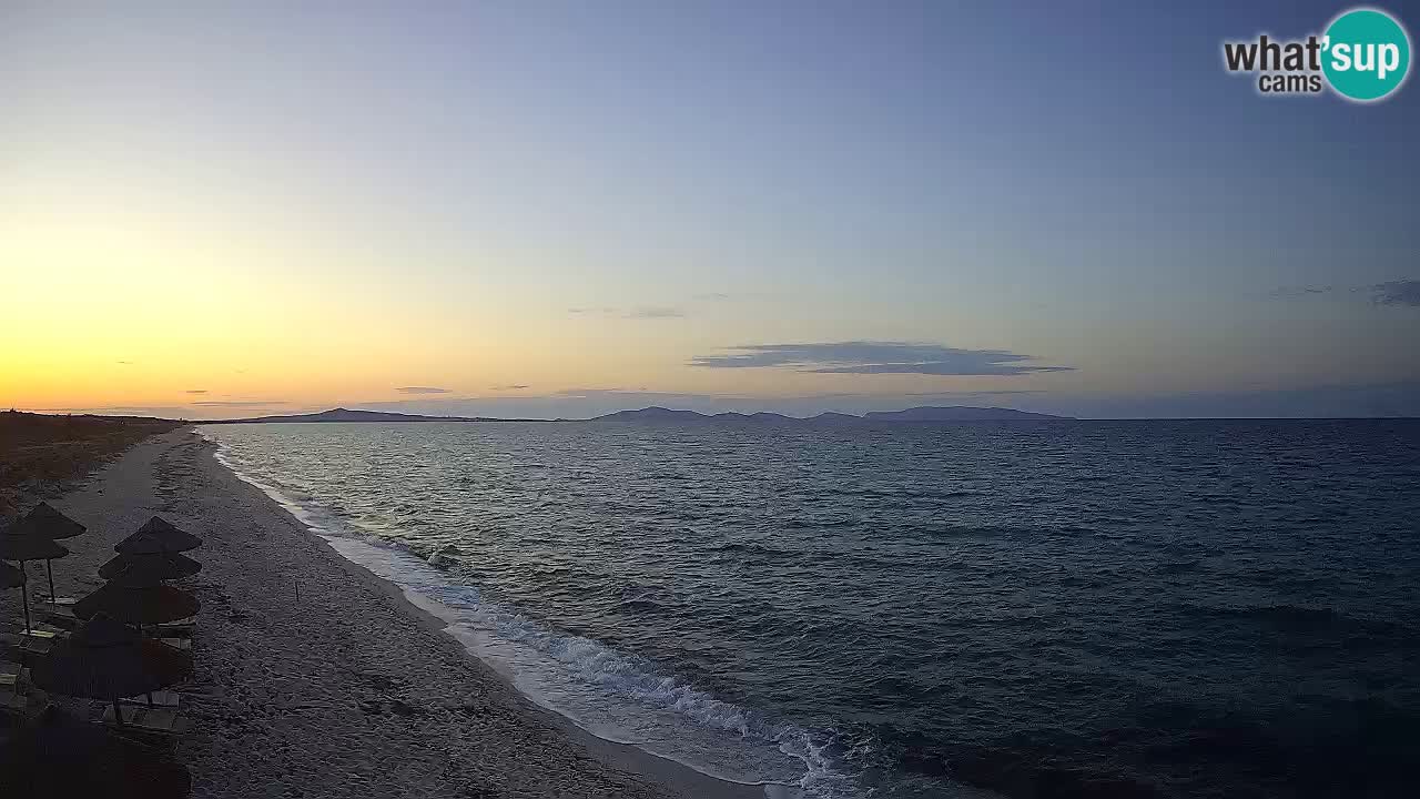 Plaža Le Saline spletna kamera Stintino – Sardinija