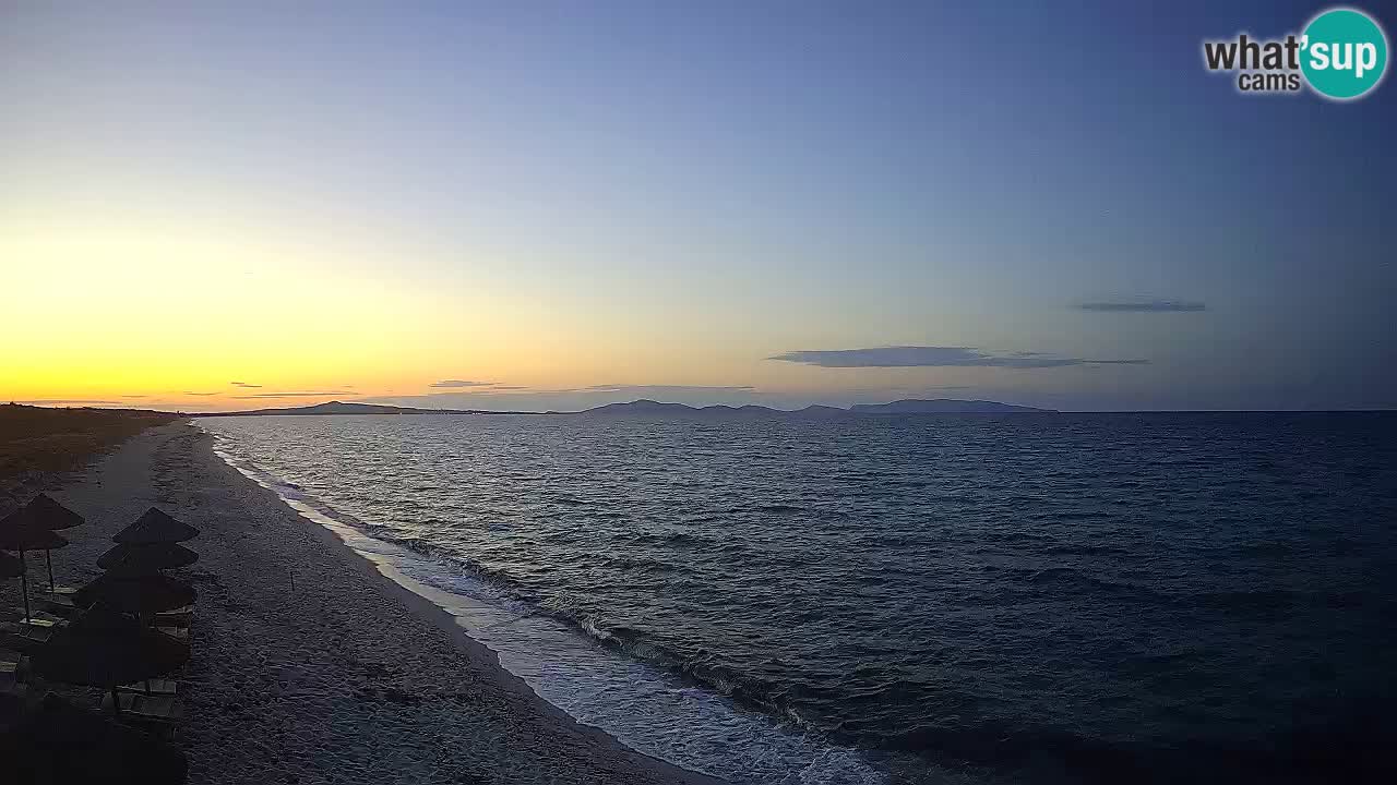Beach Le Saline webcam live Stintino – Sardinia