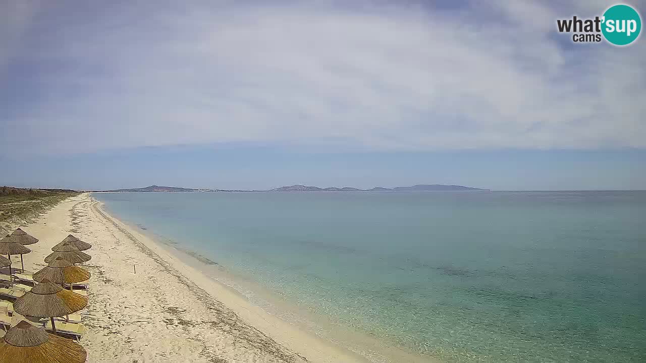 Beach Le Saline webcam live Stintino – Sardinia