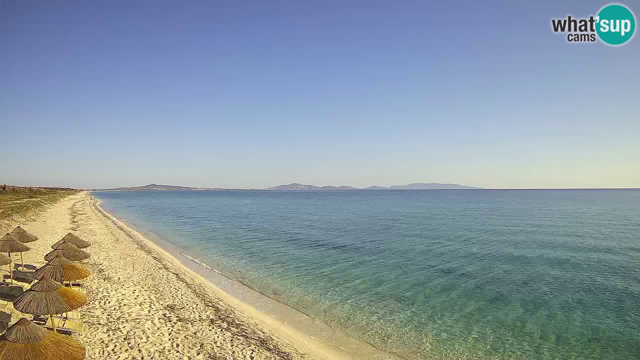 Strand Le Saline webcam Stintino – Sardinien