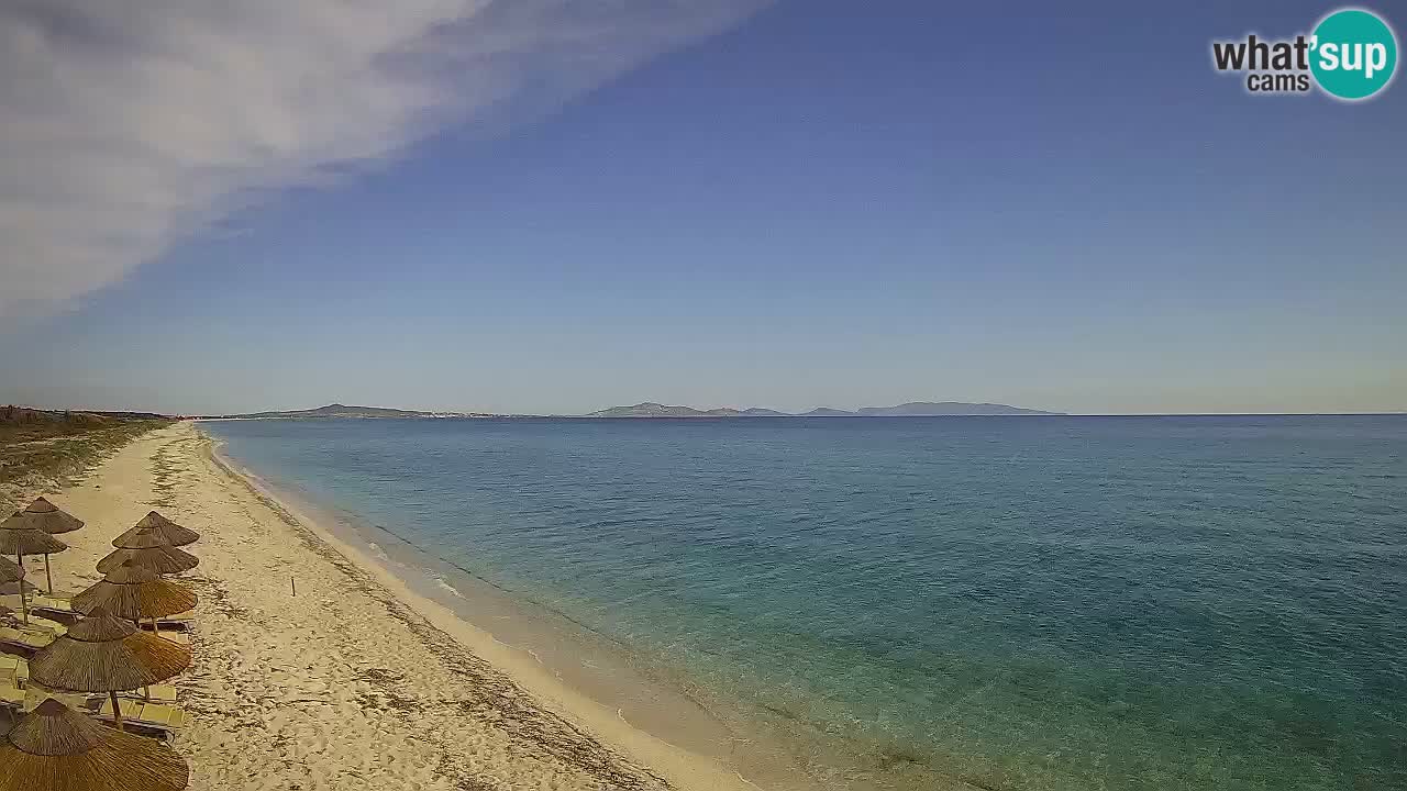 Beach Le Saline webcam live Stintino – Sardinia