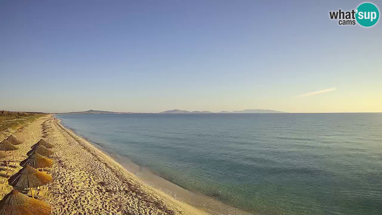 Beach Le Saline webcam live Stintino – Sardinia