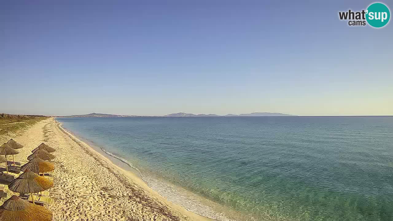 Beach Le Saline webcam live Stintino – Sardinia