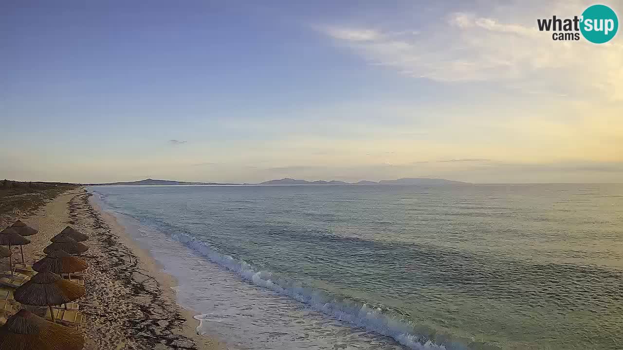 Plaža Le Saline spletna kamera Stintino – Sardinija