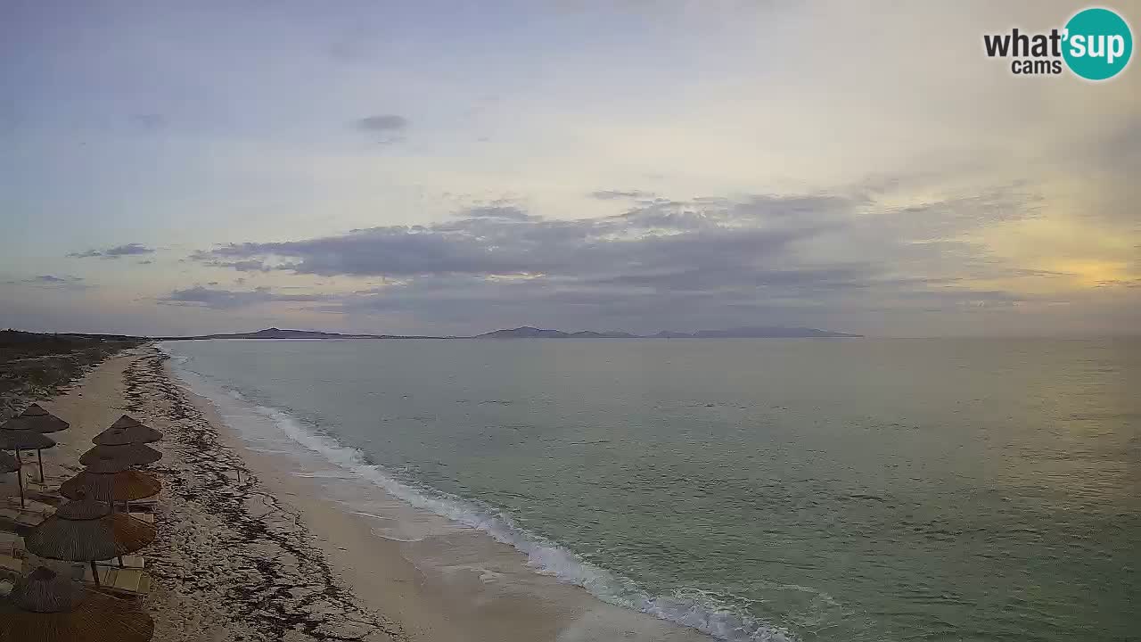 Plage Le Saline Live cam Stintino – Sardaigne