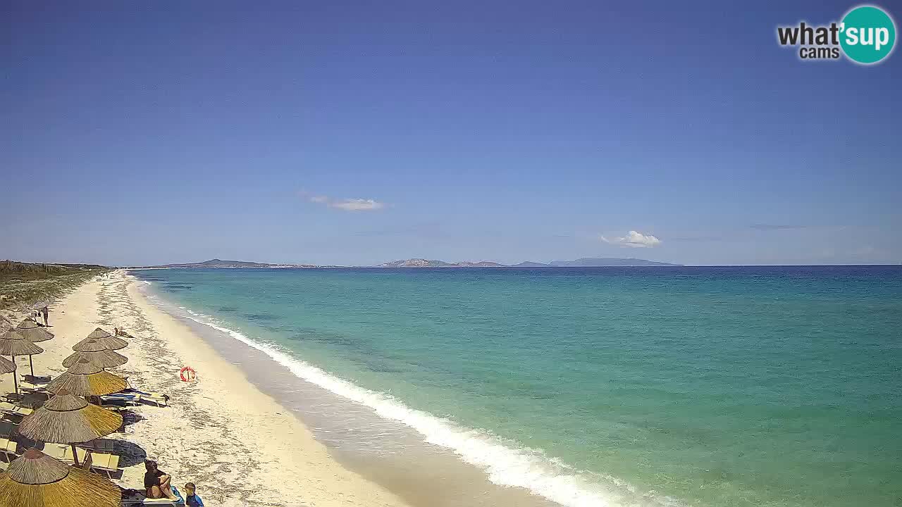 Beach Le Saline webcam live Stintino – Sardinia