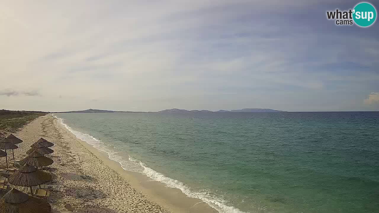 Playa Le Saline camera en vivo Stintino – Cerdeña