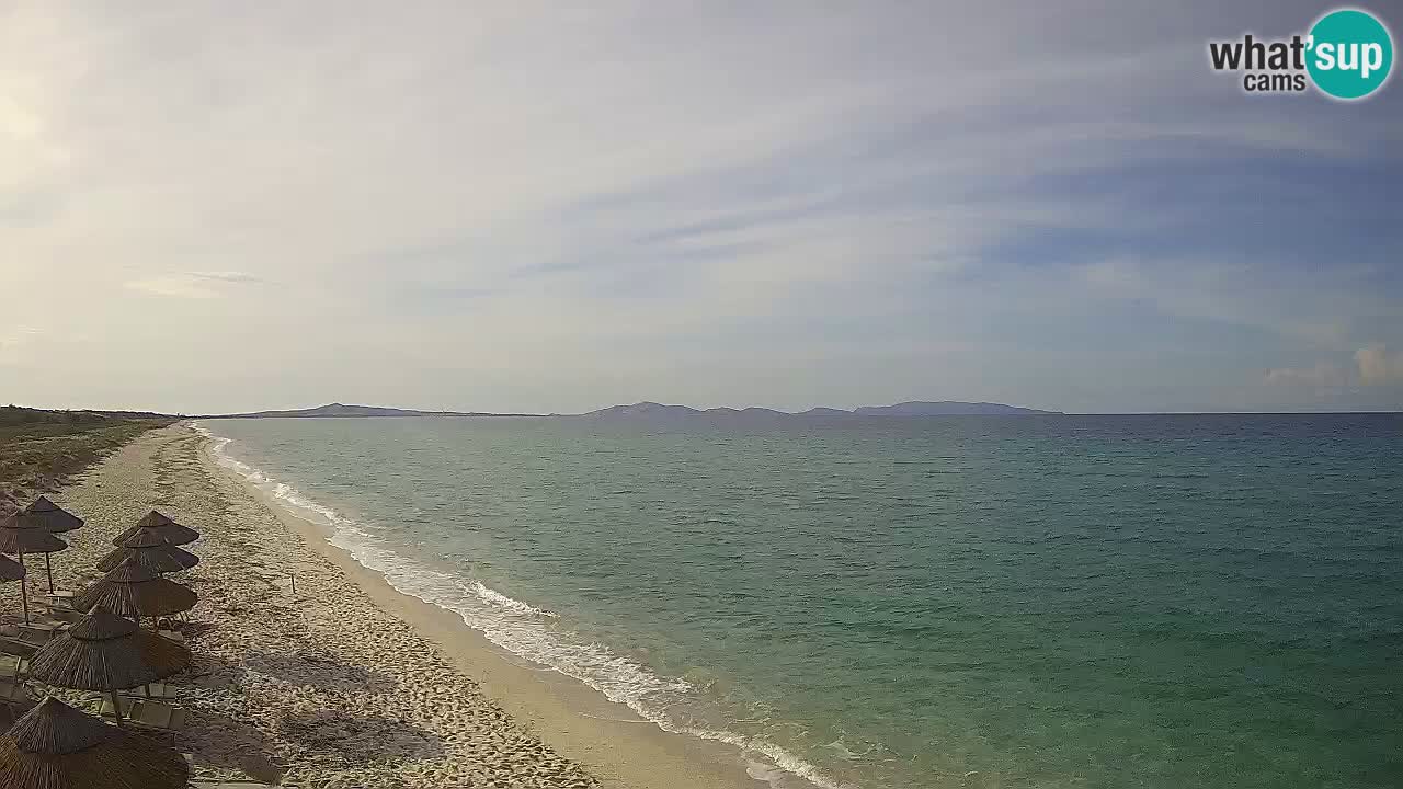 Spiaggia Le Saline webcam Stintino – Sardegna