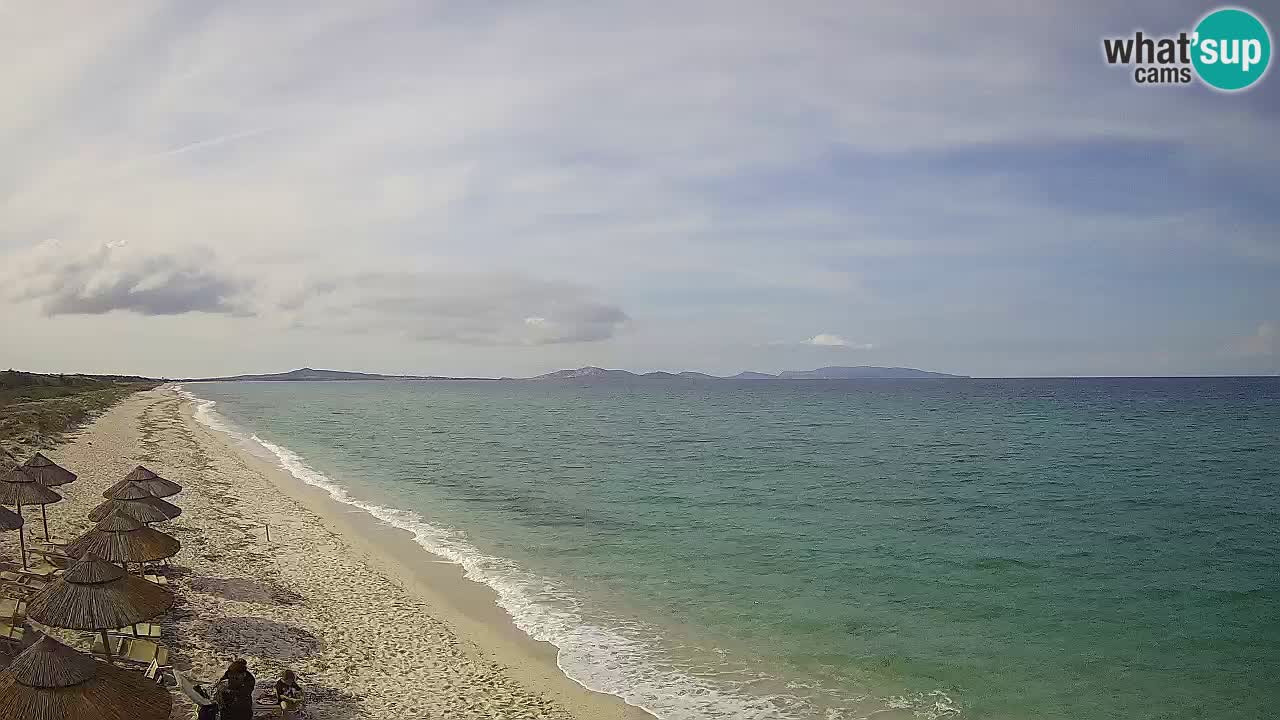 Beach Le Saline webcam live Stintino – Sardinia