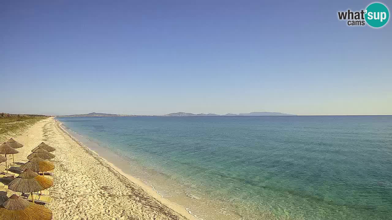 Playa Le Saline camera en vivo Stintino – Cerdeña