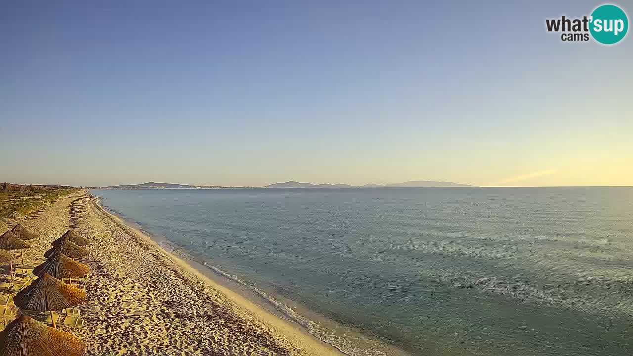 Plage Le Saline Live cam Stintino – Sardaigne