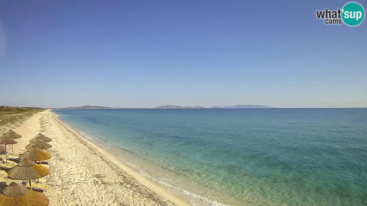 Playa Le Saline camera en vivo Stintino – Cerdeña
