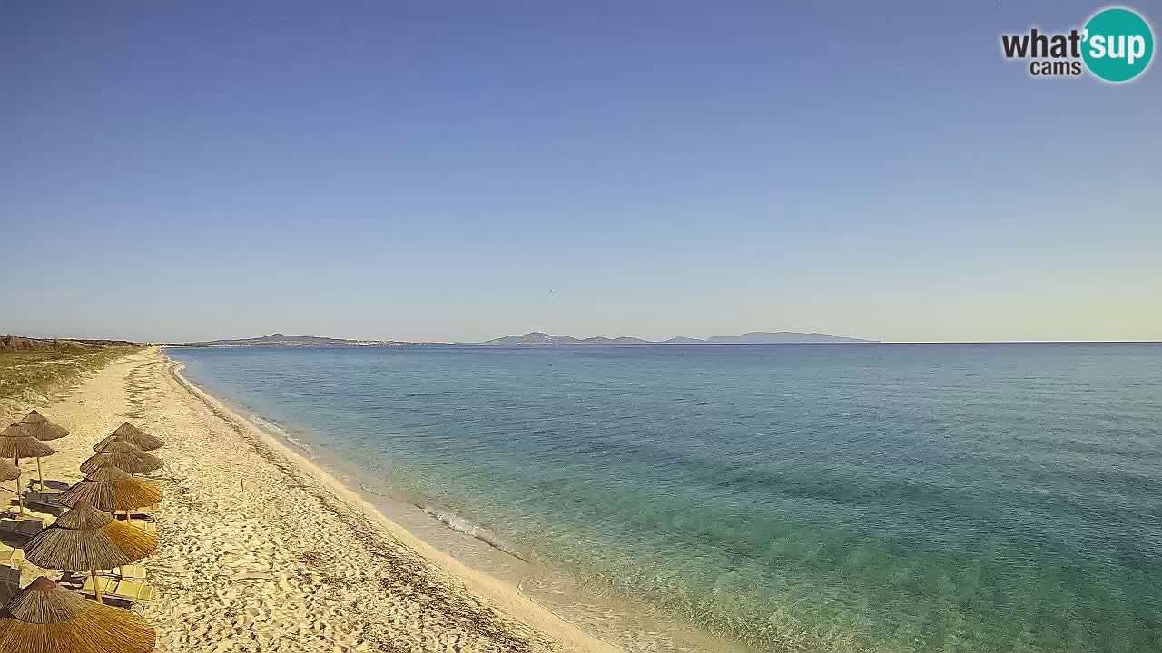 Plaža Le Saline spletna kamera Stintino – Sardinija