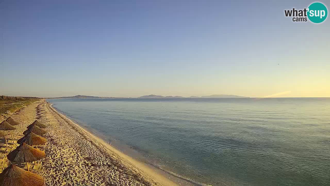 Playa Le Saline camera en vivo Stintino – Cerdeña