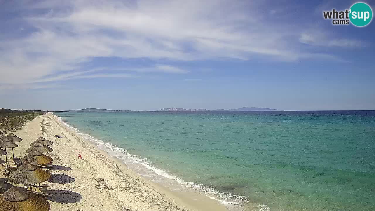 Playa Le Saline camera en vivo Stintino – Cerdeña