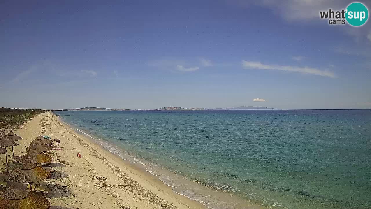 Beach Le Saline webcam live Stintino – Sardinia