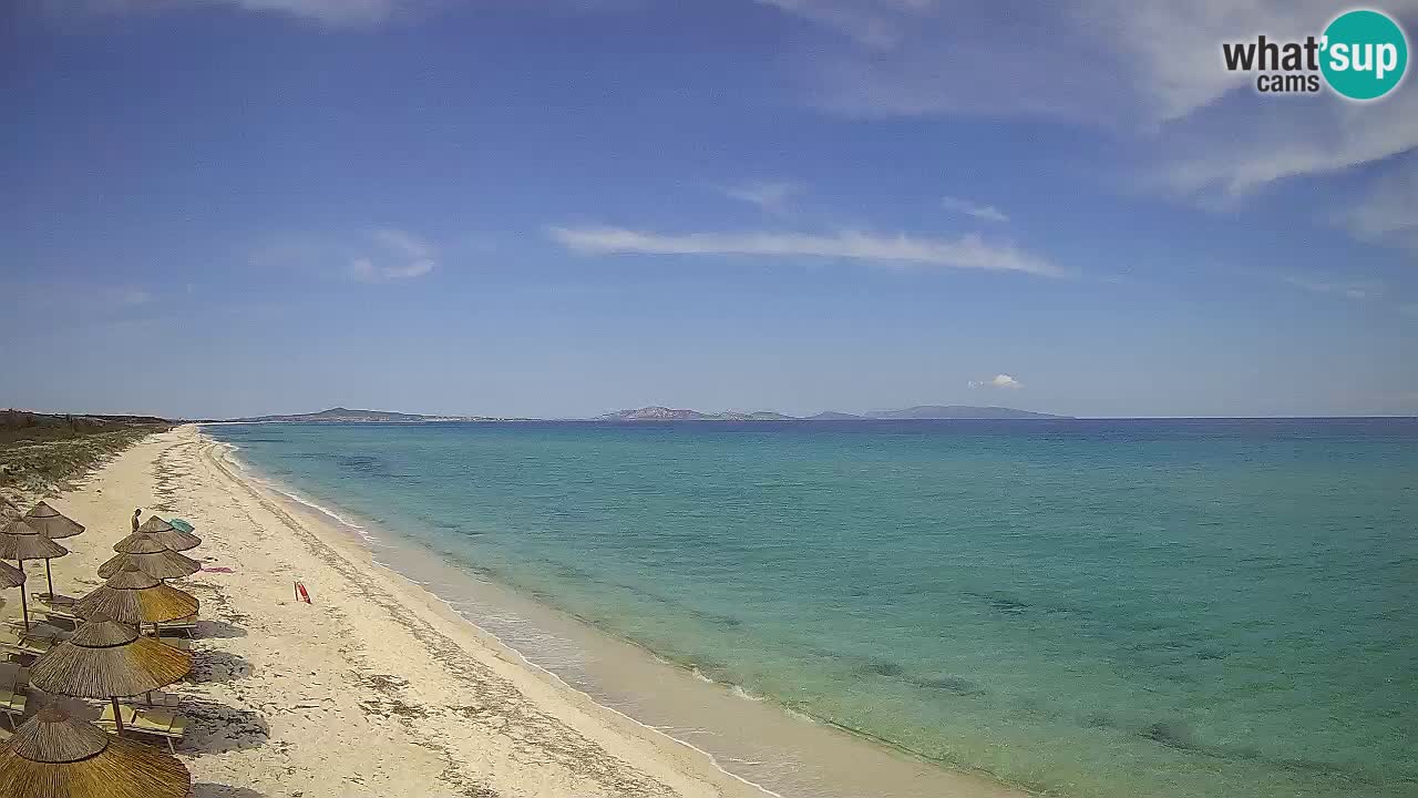 Strand Le Saline webcam Stintino – Sardinien