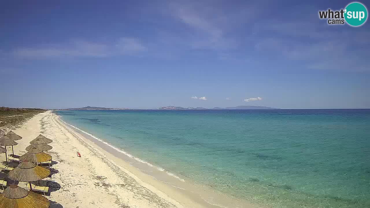 Strand Le Saline webcam Stintino – Sardinien