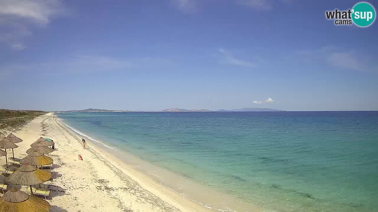 Plaža Le Saline spletna kamera Stintino – Sardinija