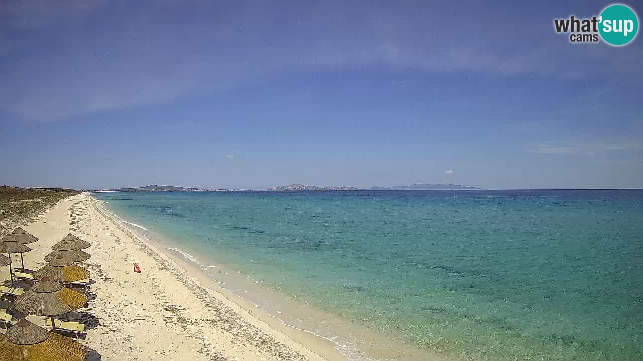 Strand Le Saline webcam Stintino – Sardinien