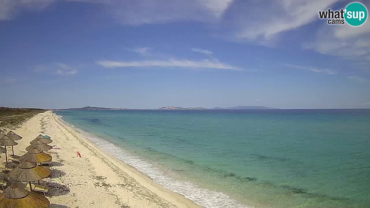 Plaža Le Saline web kamera Stintino – Sardinija